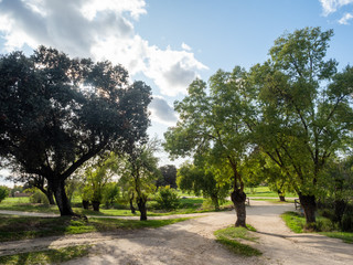 Fototapeta premium Autumn landscape