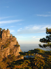 Huangshan Mountain in Anhui Province, China. View at sunrise near Stone Monkey Watching the Sea viewpoint with rocky cliffs and pine trees. Scenic view of peaks and trees on Huangshan Mountain, China.