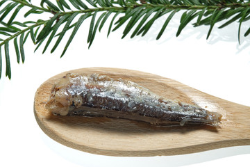 Sardine in oil on wooden spoon