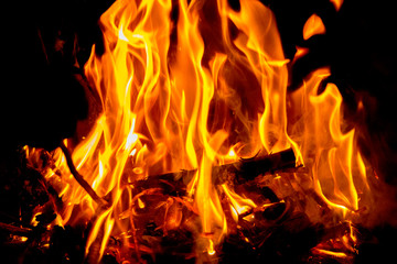 camping fire and burning wood