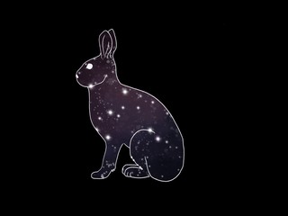 illustration with abstract space rabbit
