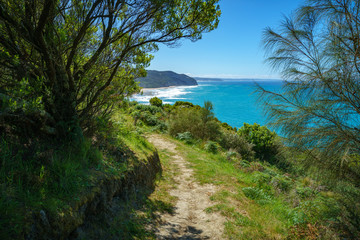 Fototapeta na wymiar hiking the great ocean walk in victoria, australia
