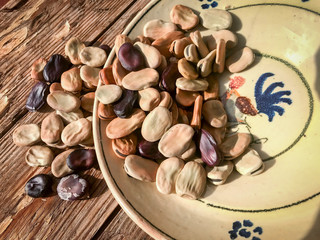 Dried broad beans in a traditional ceramic plate from Puglia