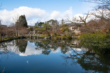 Fototapeta premium reflection of trees in lake
