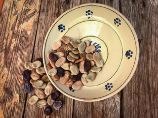 Dried broad beans in a traditional ceramic plate from Puglia