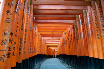 torii maze