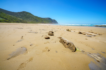 hiking the great ocean walk in victoria, australia