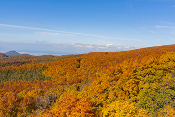 Naklejka premium Aerial fall color of the Hakkoda Mountains