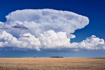 Thunderstorm cumulonimbus clouds - obrazy, fototapety, plakaty