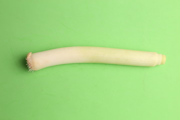 delicious leek in color background