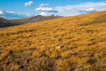 landscape in the mountains