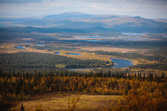Swedish autumn fall vibrant landscape during hiking to Kurravaara mountain in Norrbotten county, Kiruna Municipality, Northern Sweden