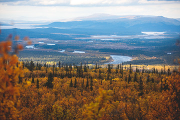 Swedish autumn fall vibrant landscape during hiking to Kurravaara mountain in Norrbotten county, Kiruna Municipality, Northern Sweden