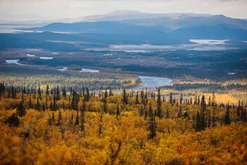 Schwedische Herbstlandschaft beim Wandern zum Berg Kurravaara im Kreis Norrbotten, Gemeinde Kiruna, Nordschweden © tsuguliev