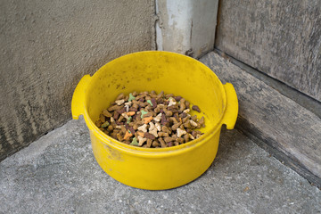 Dry cat food in small yellow plastic bowl. Cat food in small dish placed outside in front of the old door. Granules for cats placed outside.