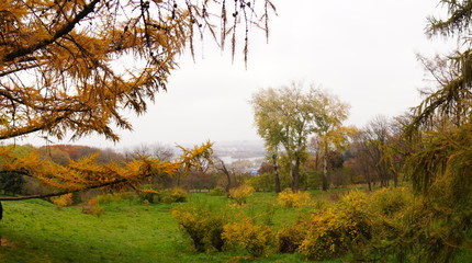 Fototapeta premium Park