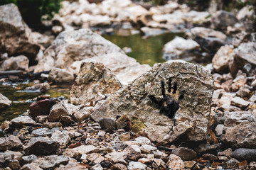 Hand print on a rock in the forest