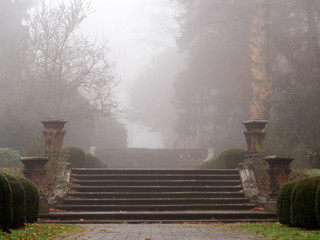 The old stairs in the park on a foggy autumn morning at the cemetery.