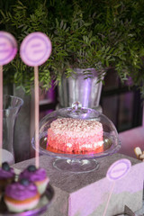 A sweet table with desserts and sweets in purple colors. Cake in pink colors on a glass stand. Decor luxury wedding celebration.