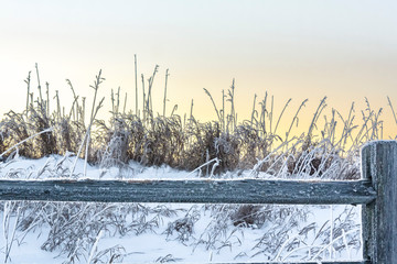 A frosty split-rail fence with frost covered grasses behind at sunrsie.