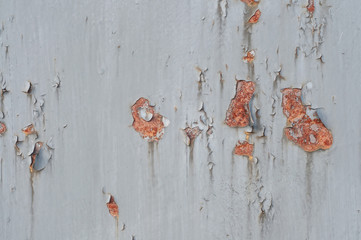 Rust texture on gray painted metal plate
