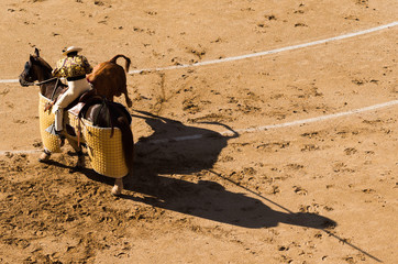 Picador y su sombra