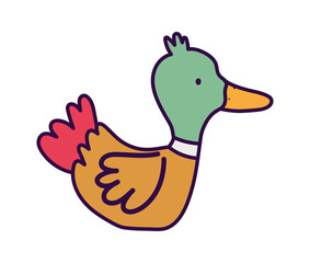 duck poultry bird farm animal cartoon