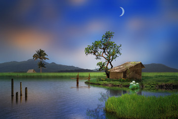 Fototapeta premium little hu by the lake