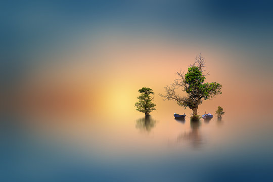 tree on the sea in the sunset