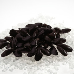 MOULE