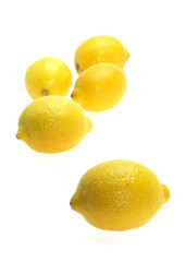 CITRON JAUNE