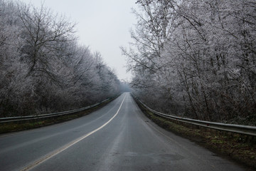 Winter road. Mystical landscape, winter, fog. Lyrical mood. Frost, hoarfrost