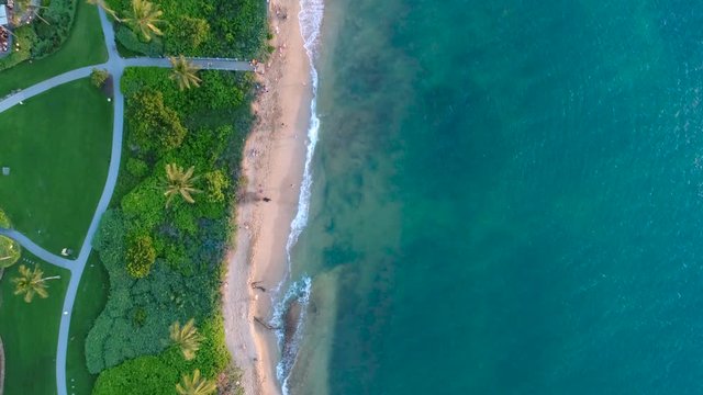 Aerial top down view of sandy beach next to beautiful resort garden with palm trees, washed by turquoise sea water in Hawaii