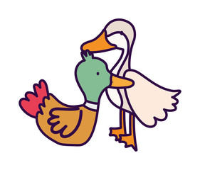 goose and duck birds farm animal cartoon