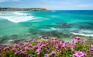 Amazing Bondi Beach, Sydney Australia
