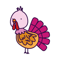 turkey bird farm animal cartoon background