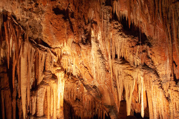 Ceiling of a cave with many stalactite formations. Orange and yellow lighting. Yarrangobilly Caves, Kosciuszko National Park, NSW, Australia.