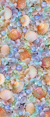 shell, sea,nature,pattern, paper print