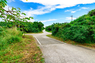 竹富島　車道　八重山諸島