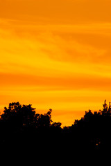 Sunrise in wetland, Lonjsko polje, Croatia