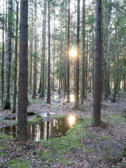 A large amount of water melted after winter.