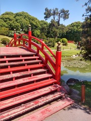 bridge in the park