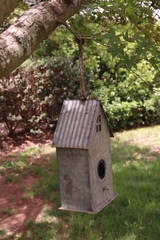 metal birdhouse on tree