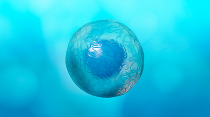 Fototapeta na wymiar Medically Accurate Illustration of Human Cells, 3D Rendering