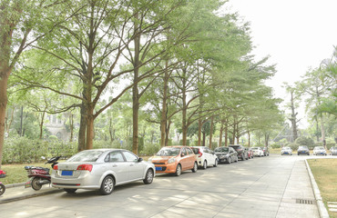 Fototapeta premium Green field under the sun. Wooden planks floor. Beauty nature background.
