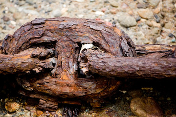 rusty chain