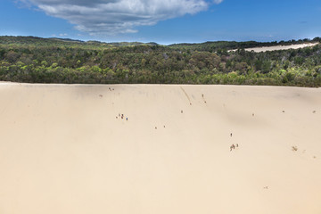 Tangalooma sand dune