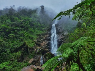 Obraz premium waterfall in deep forest