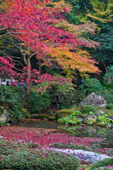 The scenery of autumn leaves in Kyoto,Japan.