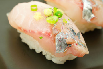 アジの握り寿司
